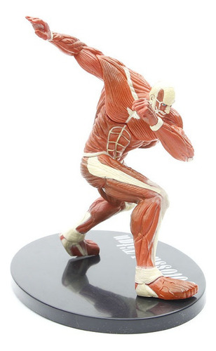( Attack On Titan O Titã Colossal Modelo Figura Brinquedo