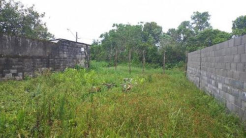 Imagem 3 de 5 de Terreno No Bairro Jardim Palmeiras, Em Itanhaém, Com Projeto Aprovado Para Construção De Casa Geminada