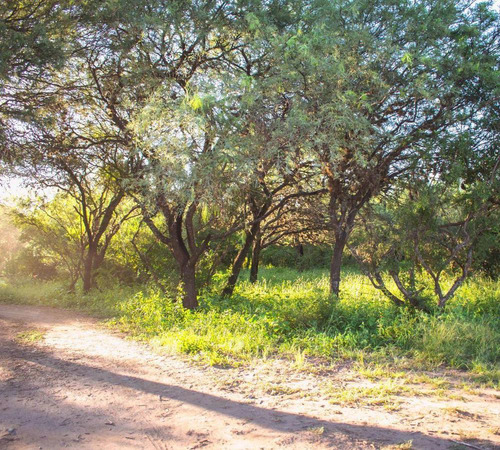 Lote En Venta De 2000m2 En Carpinteria, A 5 Min De Merlo, Sa