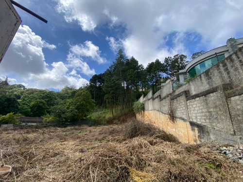 Imagen 5 de 9 de 153618 Yt. Se Vende Terreno En La Lagunita