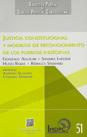 Libro Justicia Constitucional Y Modelos De Reconoci Original