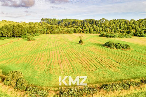 Parcela 5000 M2 En Venta En Puerto Varas , Estero Y Bosques