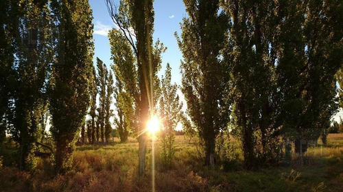 Imagen 10 de 10 de Campo - Valcheta