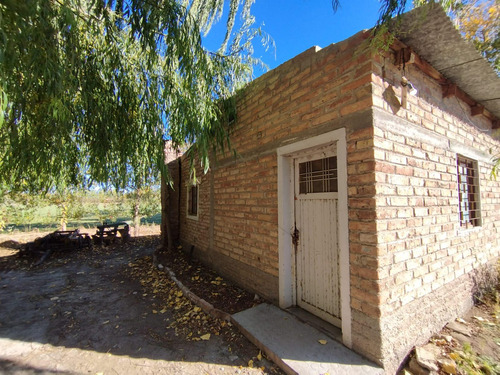 Venta De Chacra Con Casa En Allen, 6 Hectareas