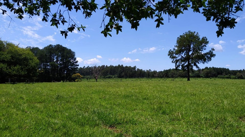 Imagen 11 de 21 de Lote En Venta 1219m2 En Puerto Rico - Loteo Clemens Blick