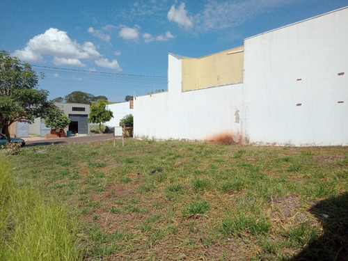Imagem 7 de 7 de Terreno - Te00253 - 69430787