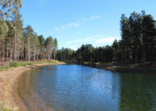 Imagen 14 de 15 de Venta - Lote Con Vista A Laguna En Villa Robles - Barrio Cerrado