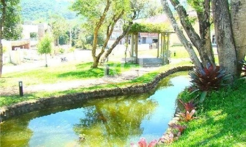 Imagem 5 de 6 de Terreno - Vila Nova - Ref: 322693 - V-mi14531