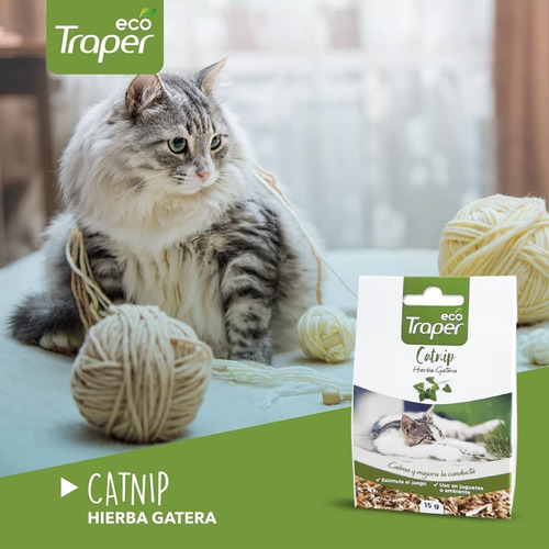 Hierba Gatera Catnip Eco Traper