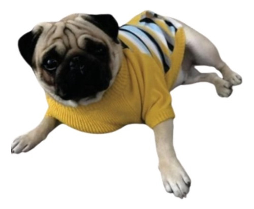 Roupa,roupinha, Blusa, Moda Lã Inverno Tam. G. Gg. Ggg. Pug.