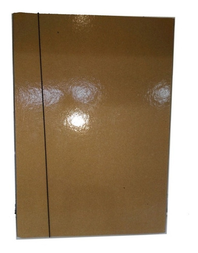 Imagen 1 de 4 de Caja Archivo Marron Con Elastico Lomo 2