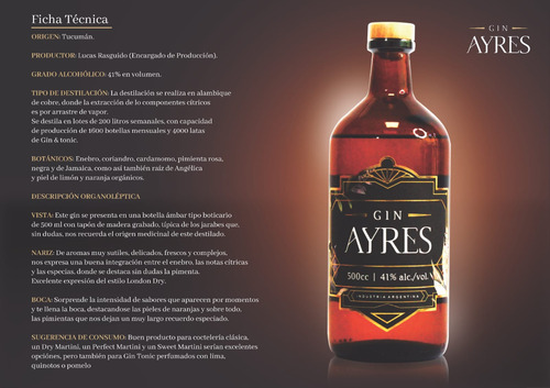 Gin Ayres 500 Cc London Dry De Aromas Cítricos Especiados