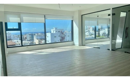 Local Comercial U Oficina En Alquiler En Mirador Sur S.d