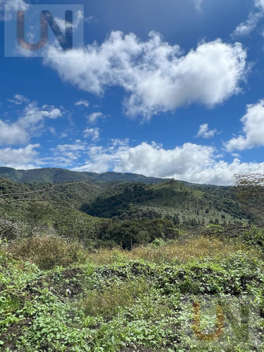 Terreno En El Siambon