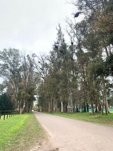 Imagen 4 de 6 de Terreno - Haras San Pablo