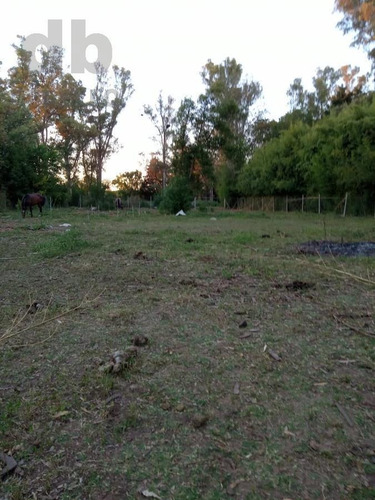 Imagen 5 de 12 de Terreno - Capilla Del Señor