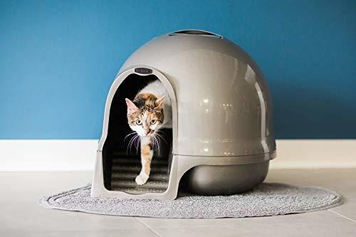 Arenero Para Gato Booda Petmate Cleanstep Dome