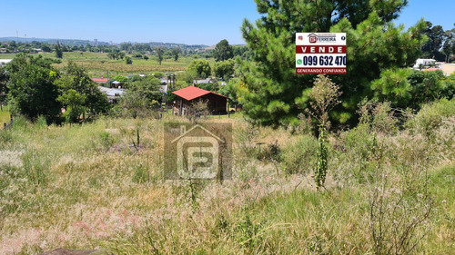 Vende  Terreno De 554m² - Lavirgensita