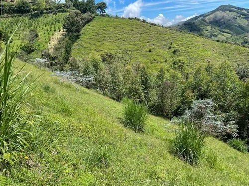 Finca El Retiro Vereda Nazareth