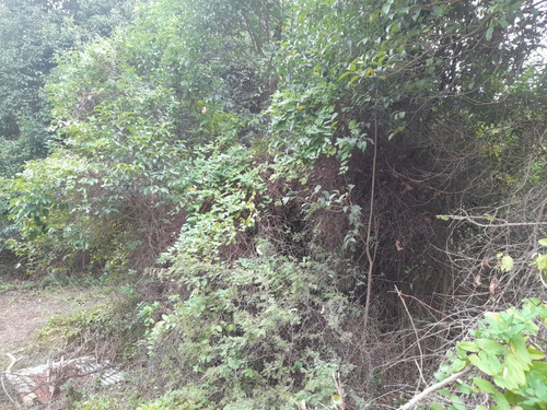 Imagen 10 de 11 de Lotes , Traslasierra-córdoba, Los Hornillos