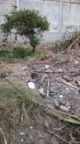 Imagem 10 de 10 de Terreno - Centro - Ref: 733 - V-2494
