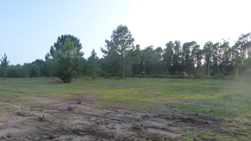 Chacra Con Potencial En Zona De Paz Y Naturaleza, Los Titanes Norte