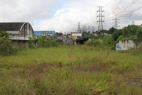 Imagem 9 de 10 de Terreno Para Alugar, 20000 M² Por R$ 110.000,00/mês - Jardim Aricanduva - São Paulo/sp - Te0317