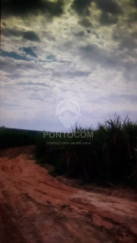 Imagem 17 de 23 de Excelente Fazenda - Martinópolis - 3841131v