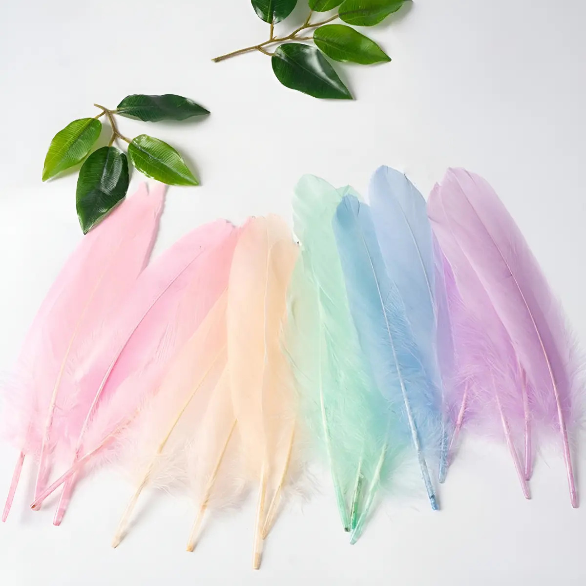150 Plumas Ganso Alta Calidad Para Manualidades Decoración Color Macarron 5 Colores Mezclados