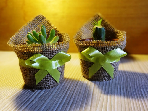 Cactus Decorados Con Ecografía Para Regalos Baby Shower