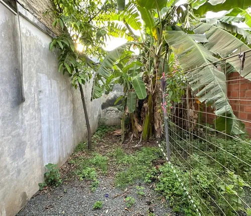 Arriendo Apartaestudio En Primer Piso Con Patio Barrio La Flora Norte De Cali