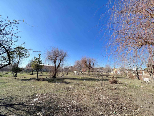Imagen 4 de 13 de Terreno En Venta En Berisso.