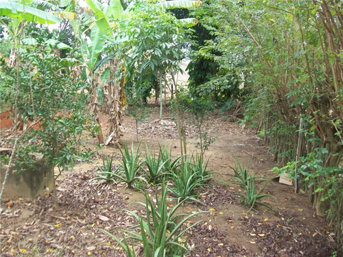 Imagem 6 de 7 de Imperdível Terreno Pronto Para Construir 100% Legalizado 548,10m² Aproveite