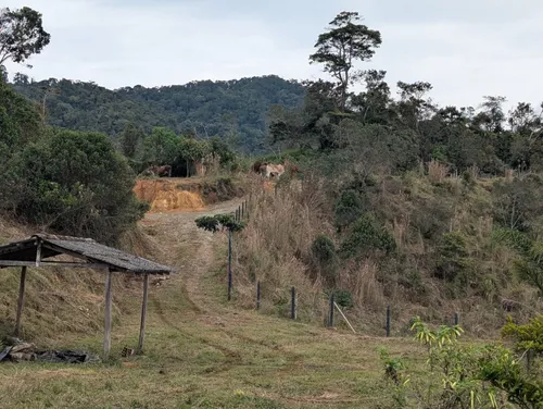 Finca En Venta, En Santo Domingo, Antioquia (sector El Bejuco, Vía Alejandría)