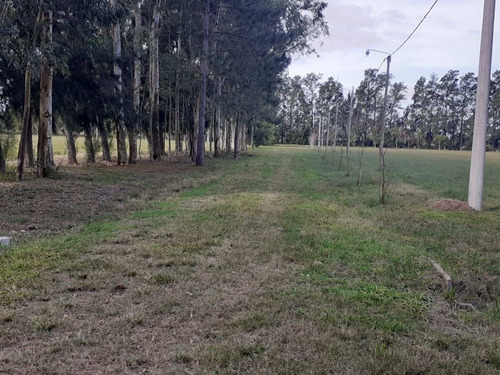 Imagen 12 de 15 de Terreno En Venta En Barrio El Chaqueño