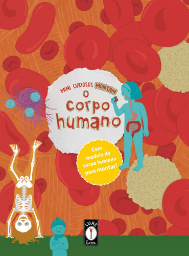 Mini Curiosos Montam O Corpo Humano, De Clarice Uba. Editora Lume, Capa Mole Em Português
