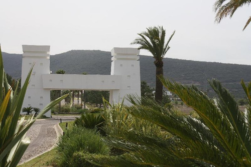 Imagen 3 de 4 de Terreno En Venta En Valle De Los Reyes, Jalisco