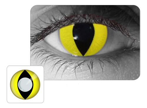  Lentes Halloween Gato Amarillo Cat Yellow Crazy Fx