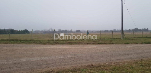 Imagen 5 de 17 de Terreno En Venta O Permuta Sobre Colectora Norte Acceso Oeste Luján, Luján