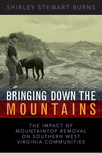 Libro: Bringing Down The Mountains: The Impact Of Removal On