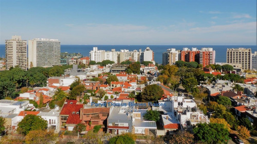 Alquilo Monoambiente En Pocitos