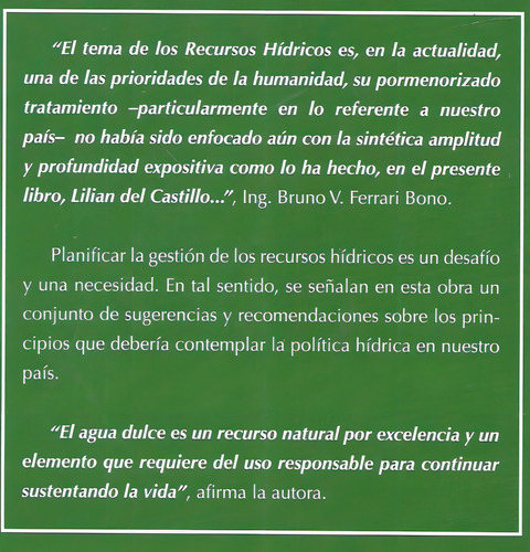 La Gestion Del Agua En La Argentina -, De Del Castillo Lilian. Editorial Ciudad Argentina, Tapa Blanda En Español