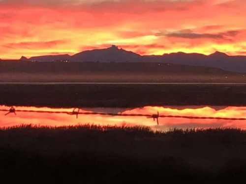 Venta De Terreno En El Calafate