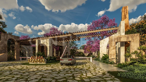 Lote 52 Estándar En Alma Izamal: