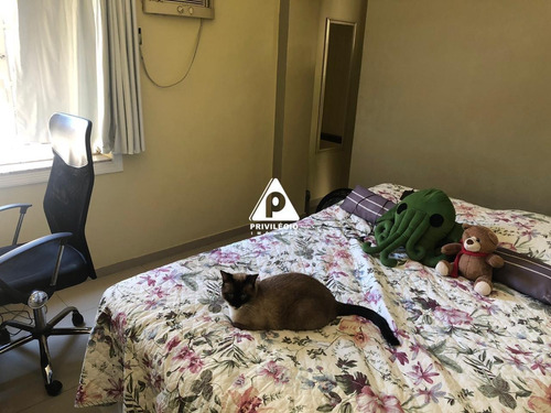 Imagem 19 de 30 de Casa À Venda, 3 Quartos, 1 Vaga, Glória - Rio De Janeiro/rj - 26262