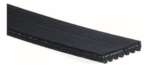 Banda De Accesorios D100 Pu Rwd 5.9 1975-1979 94.284cm Ctk