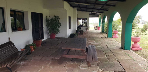 Campo En Venta En Artigas 340 Has