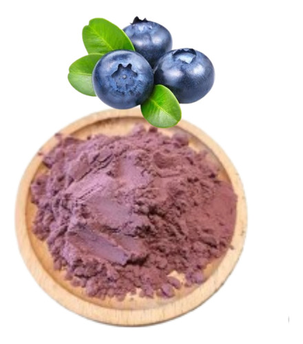 Arándano Fruto En Polvo 1 Kilo