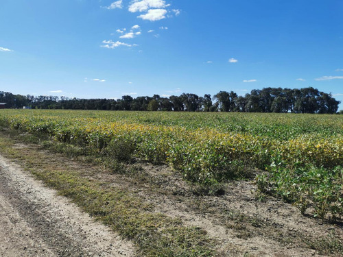 Lote En Venta  Chacras De San Andrés- Carlos Keen- Villa Ruiz- Luján