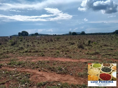 Fazenda À Venda Em Talismã - To - De 268 Alqueirões (dupla Aptodão) - 1580